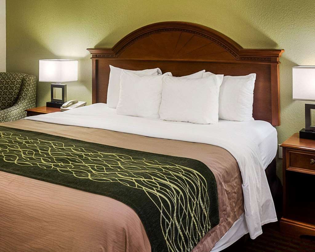 Comfort Inn Newport News - Hampton I-64 Δωμάτιο φωτογραφία