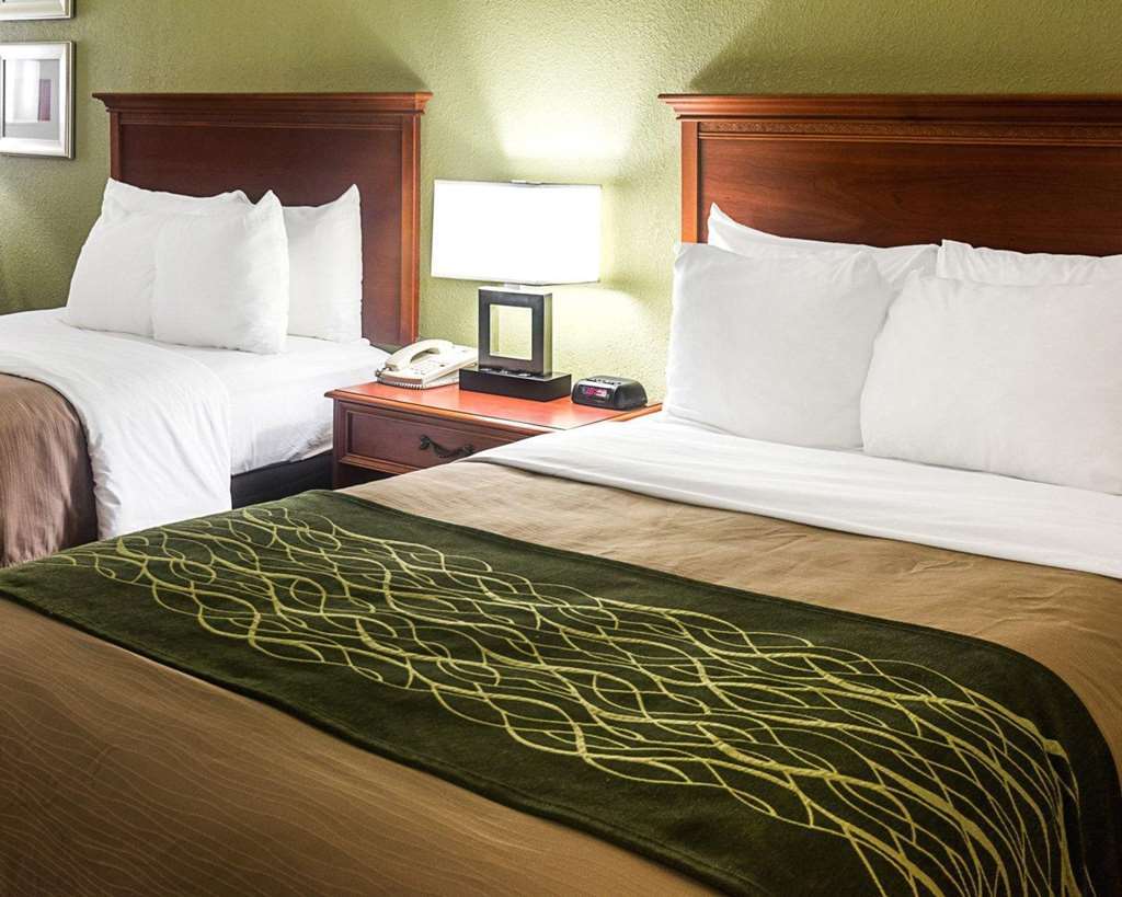 Comfort Inn Newport News - Hampton I-64 Δωμάτιο φωτογραφία